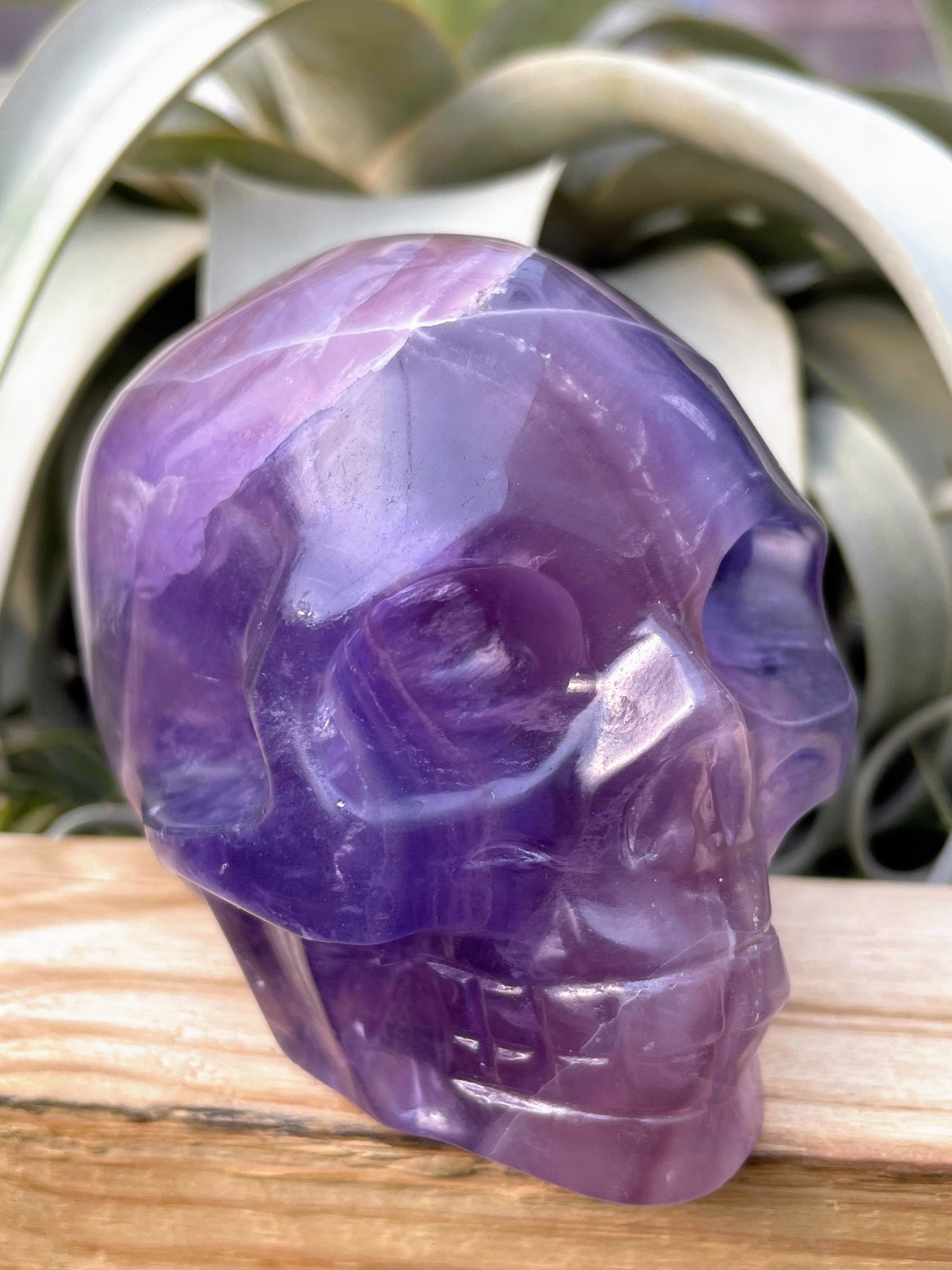 Large Purple Fluorite Skull Carving