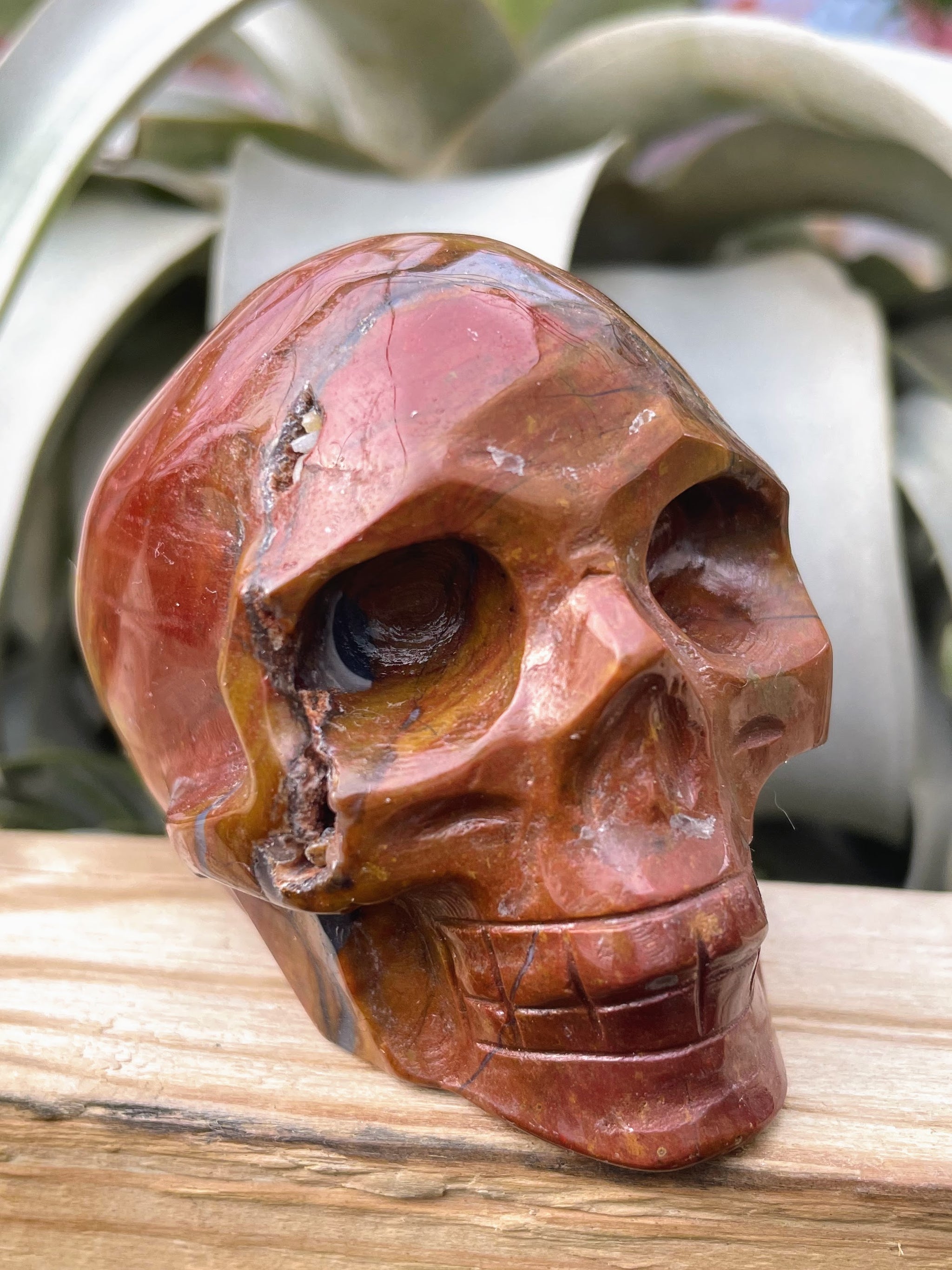 Medium Ocean Jasper Skull Carving