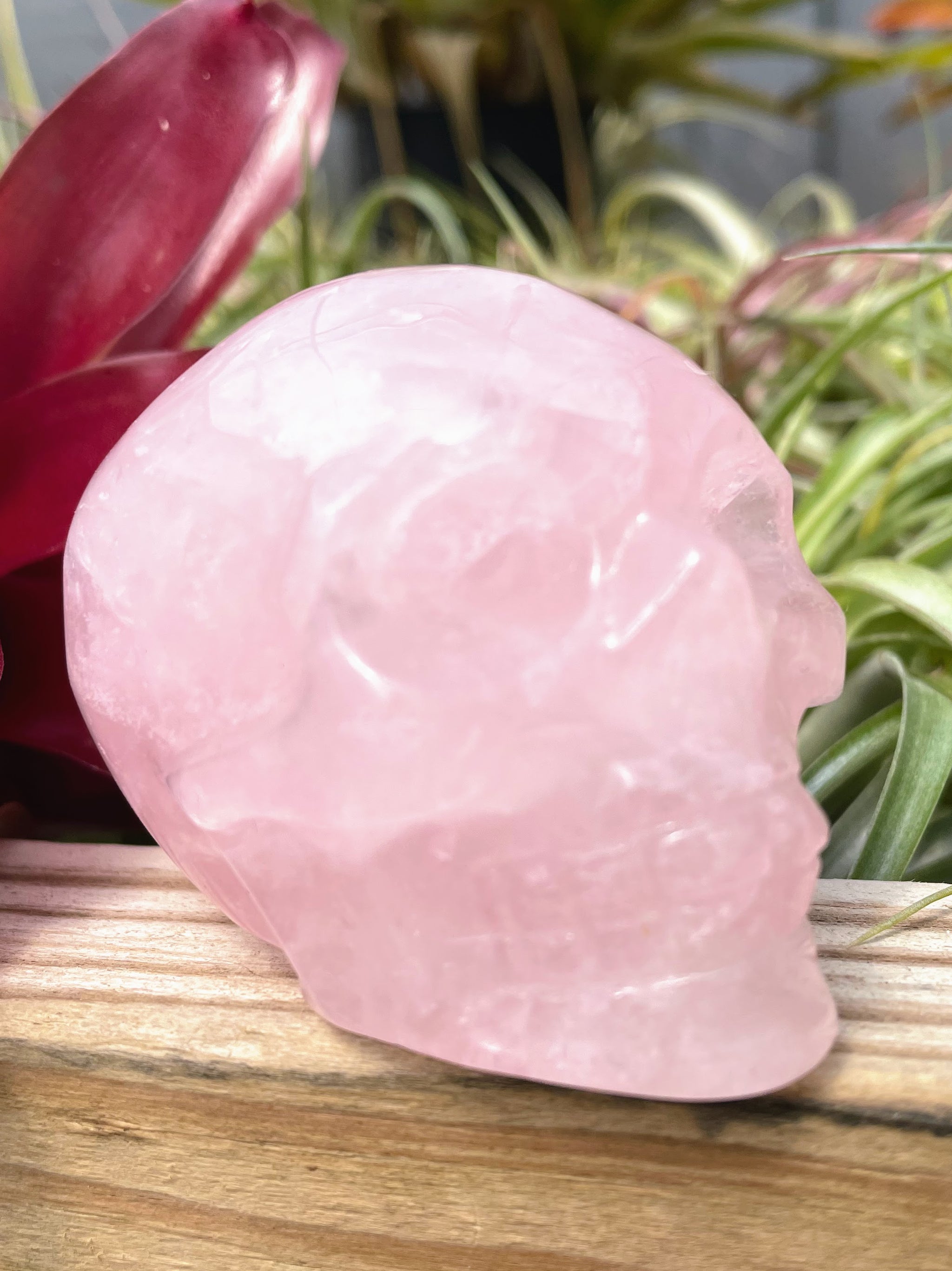 Large Rose Quartz Skull Carving