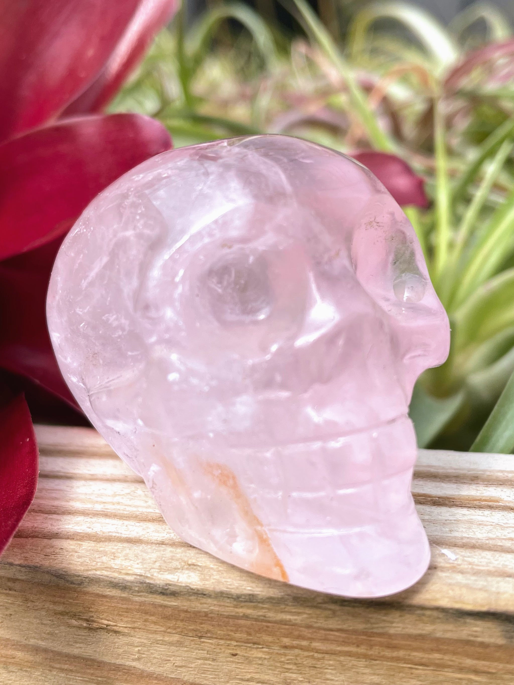 Medium Rose Quartz Skull Carving
