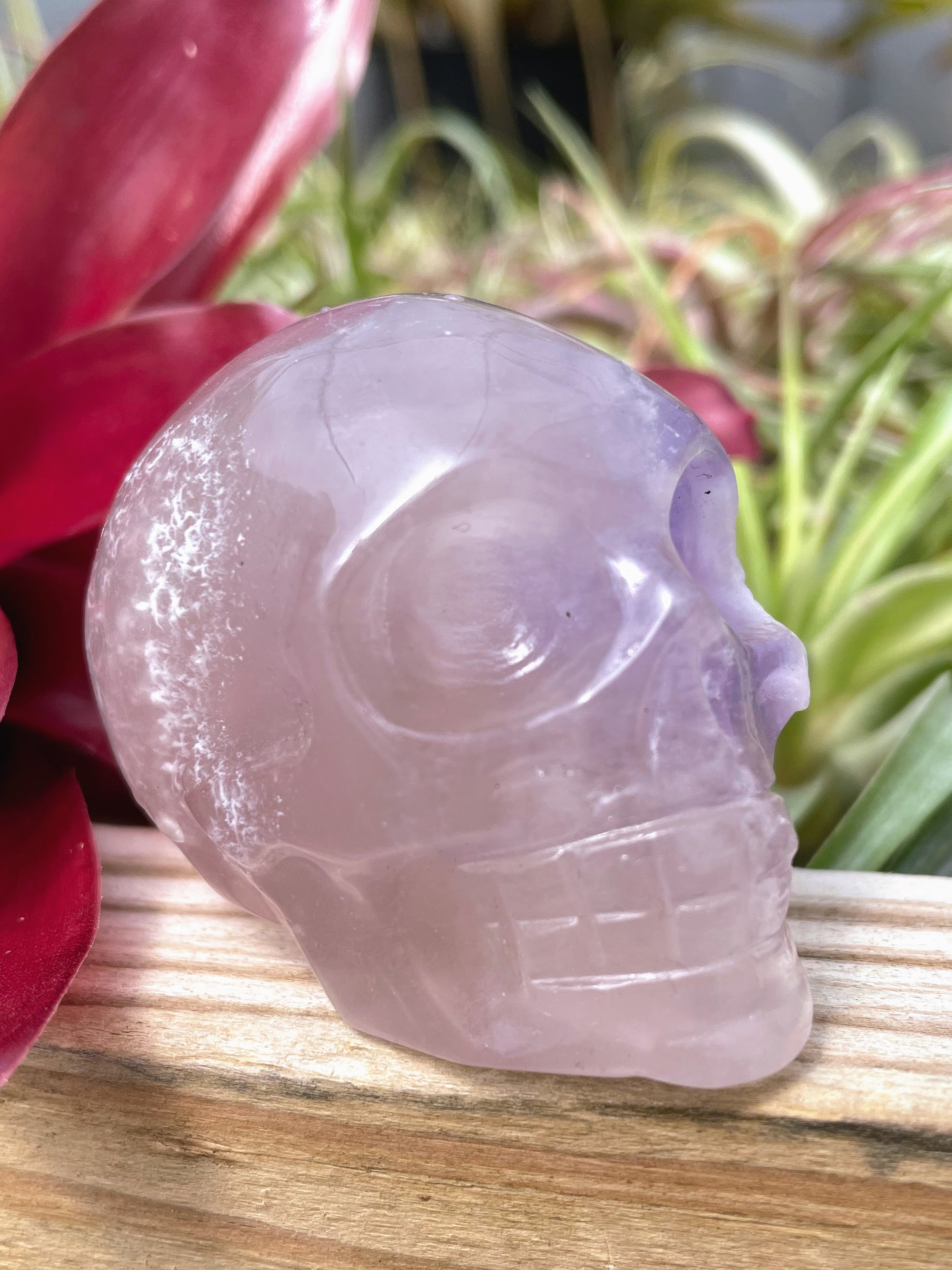 Medium Fluorite Skull Carving