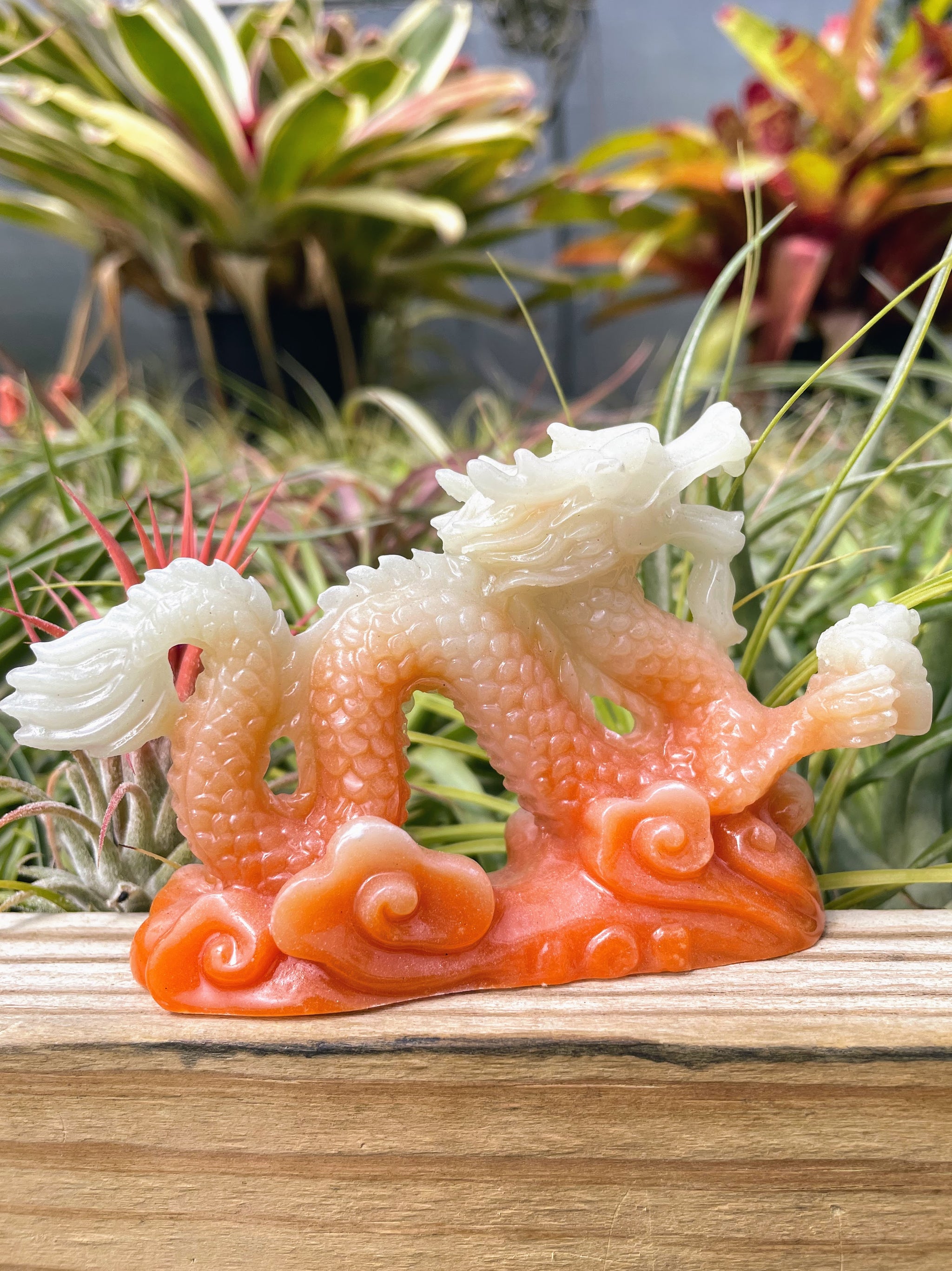 Dragon Luminous Carving