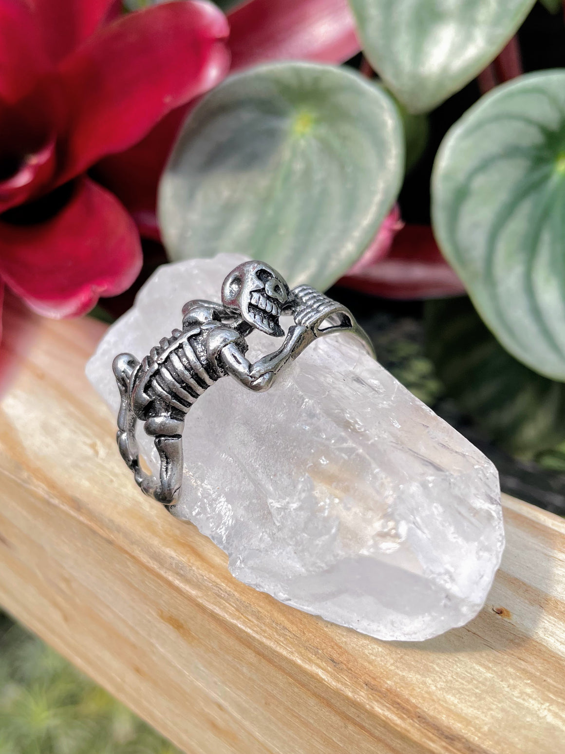 Clear Quarts Sleeping Skeleton Point