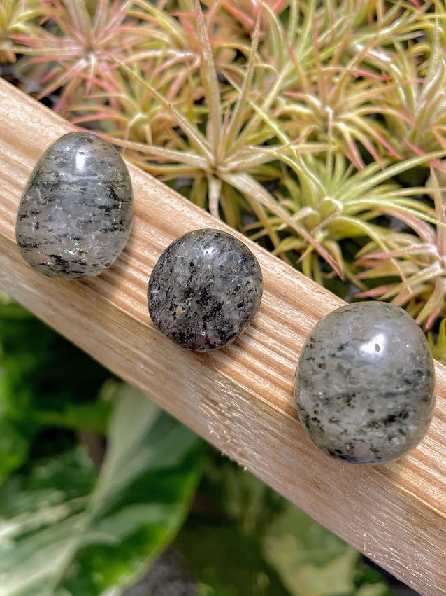 Dragon Fruit Quartz Tumble