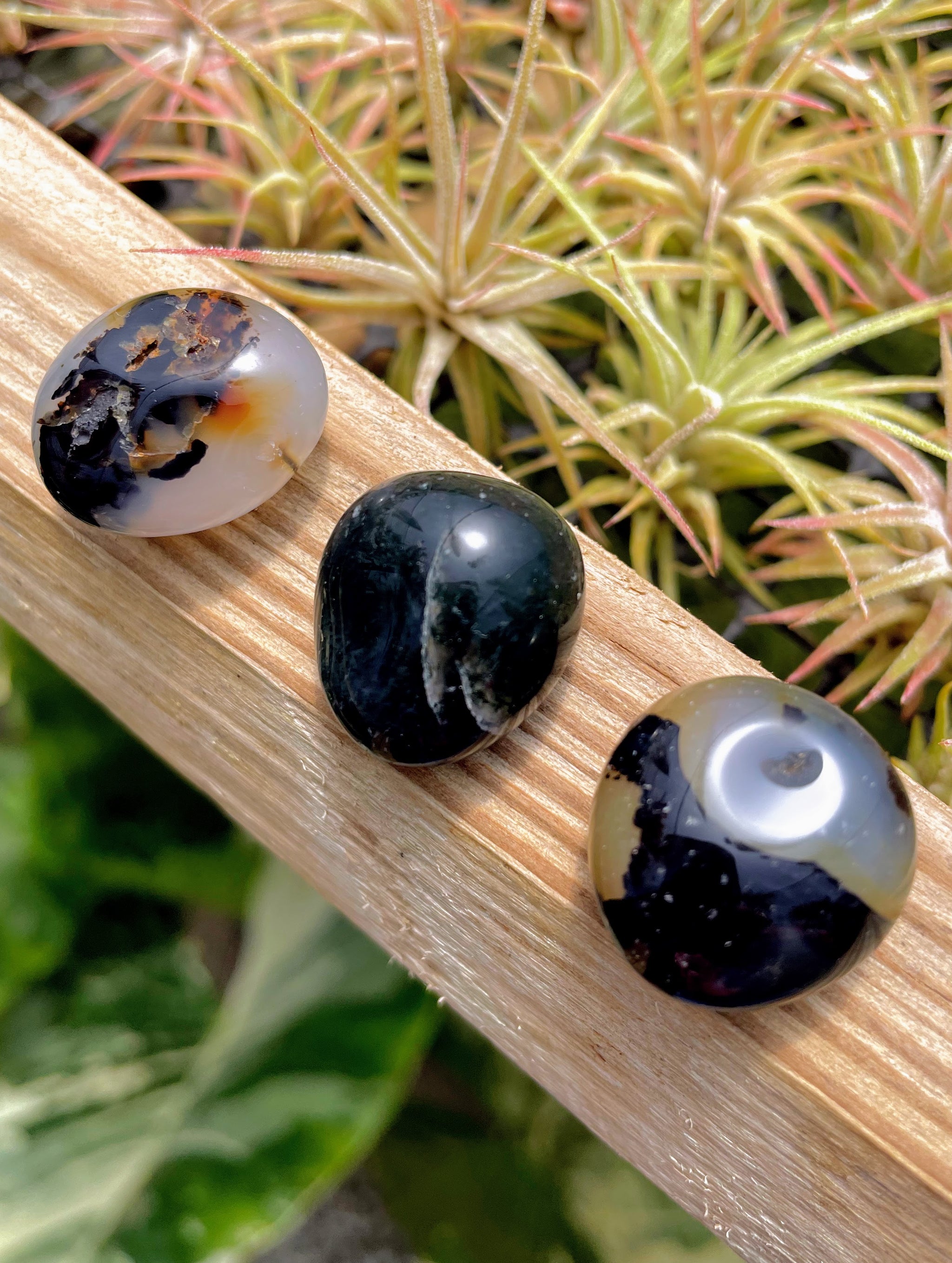 Botswana Agate Tumble