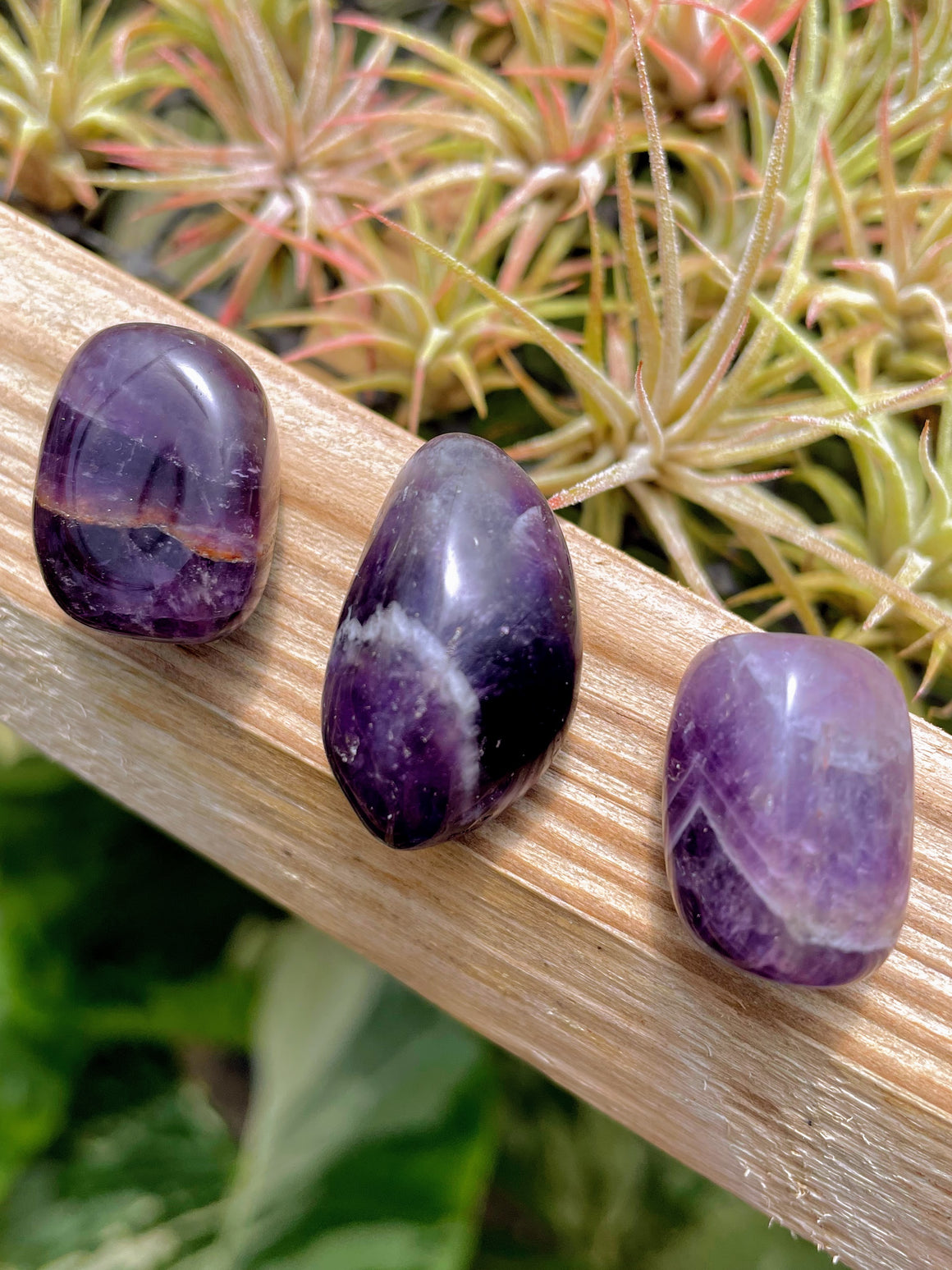 Dream Amethyst Tumble