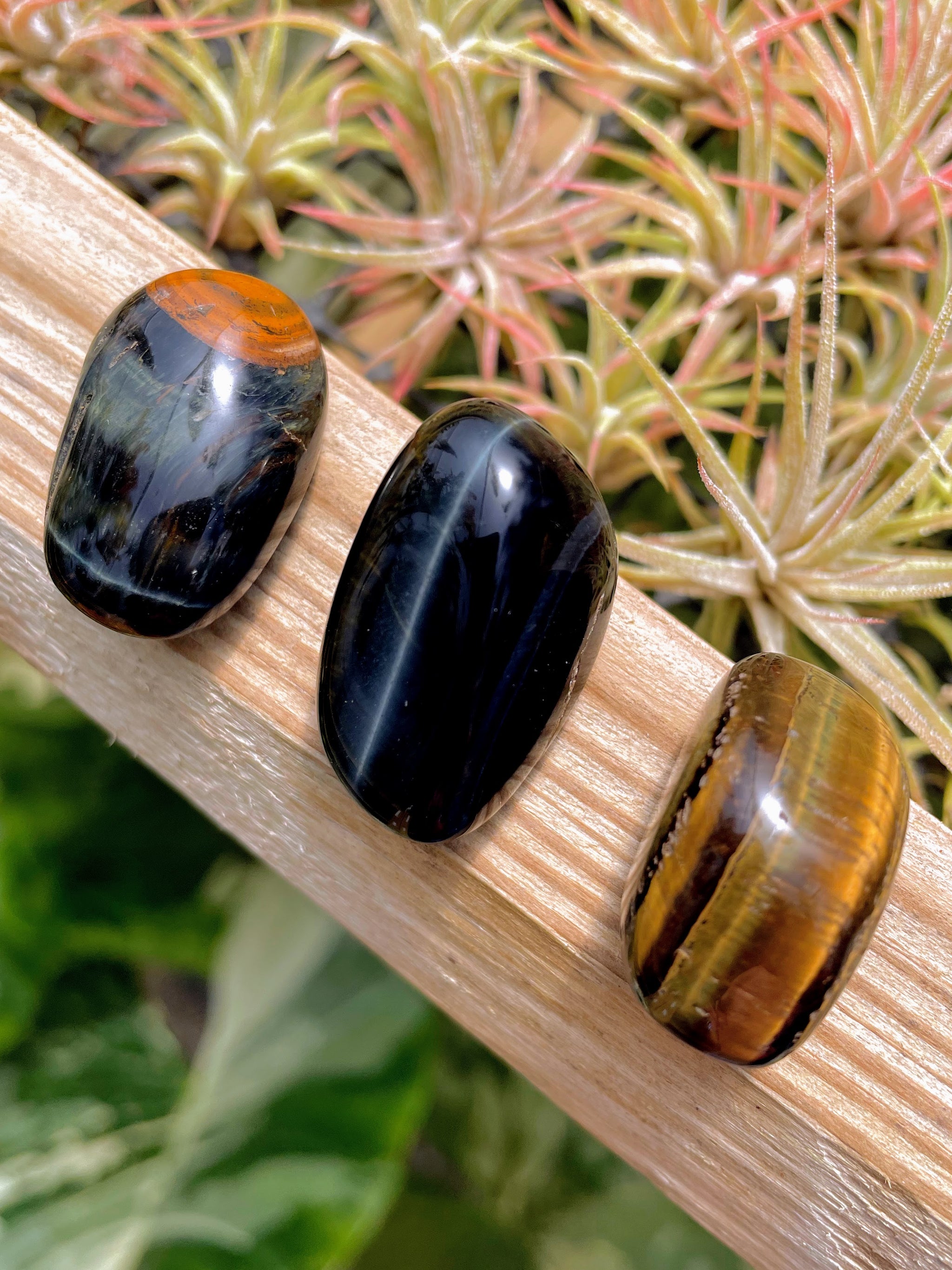 Blue Tigers Eye Tumble