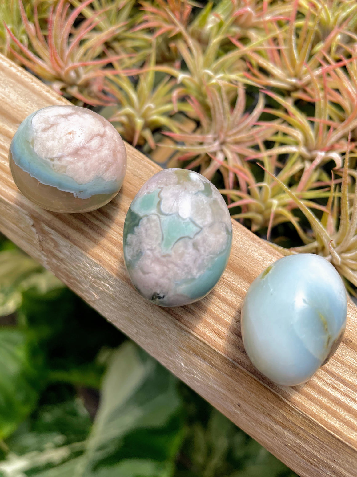 Blue Flower Agate Tumble