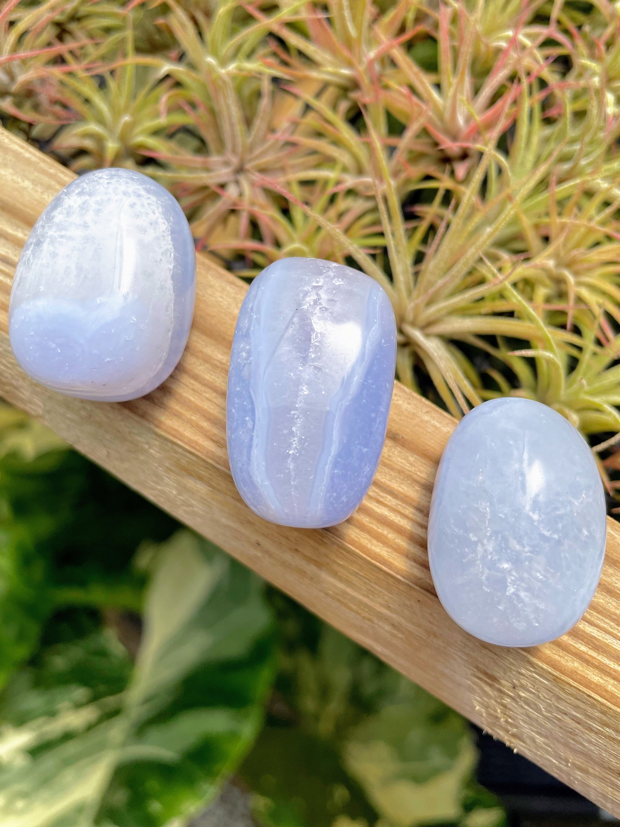 Blue Lace Agate Tumble