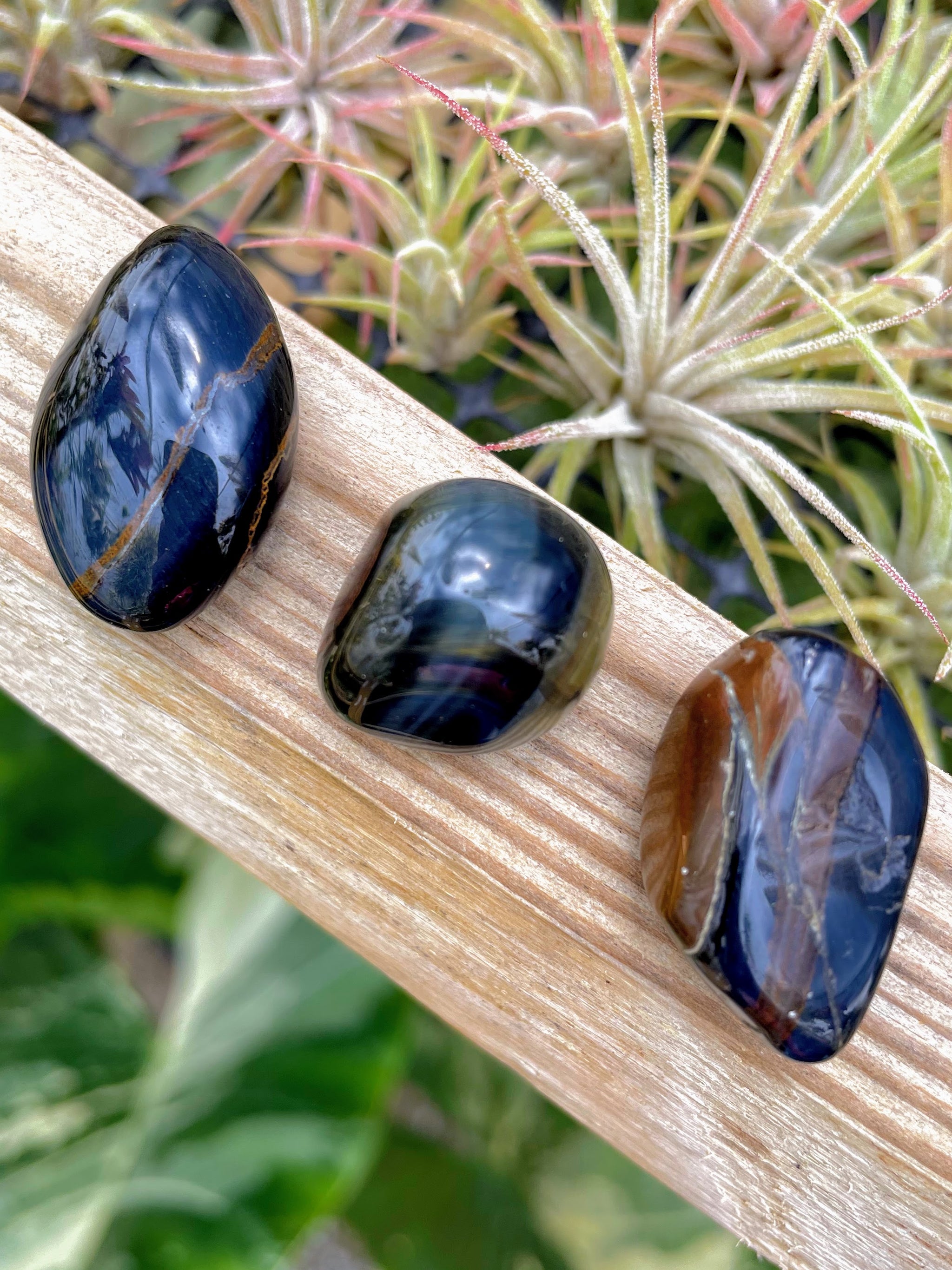 Blue Tigers Eye Tumble