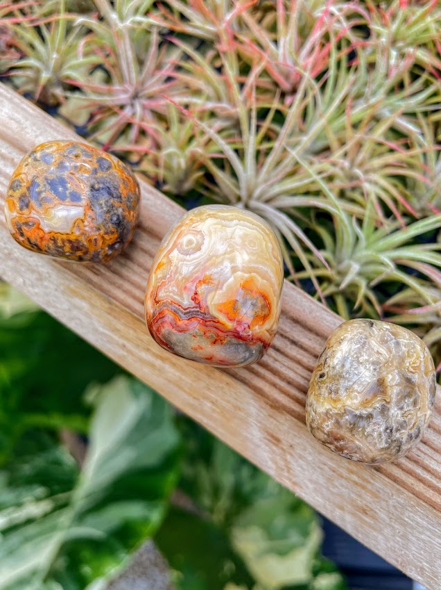 Crazy Lace Agate Tumble