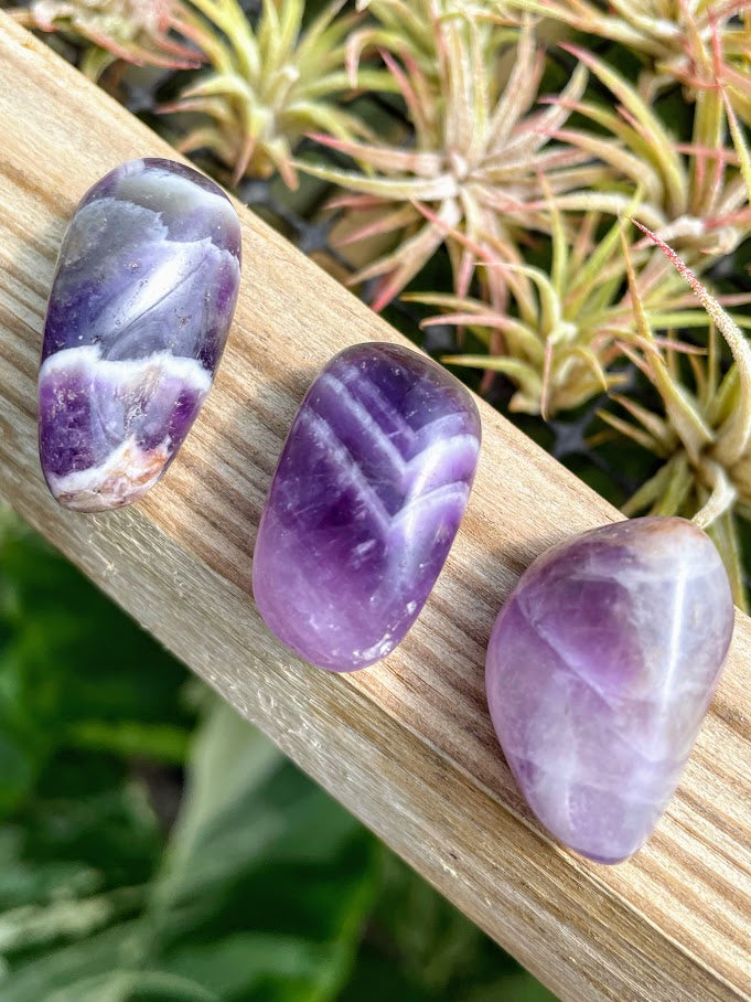 Dream Amethyst Tumble