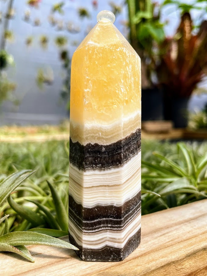 Zebra Calcite Crystal Point