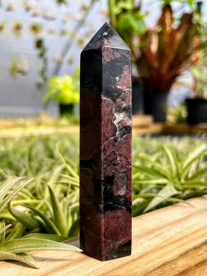 Astrophyllite w/ Garnet Crystal Point