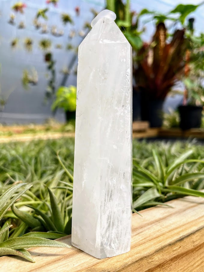 Clear Quartz Crystal Point