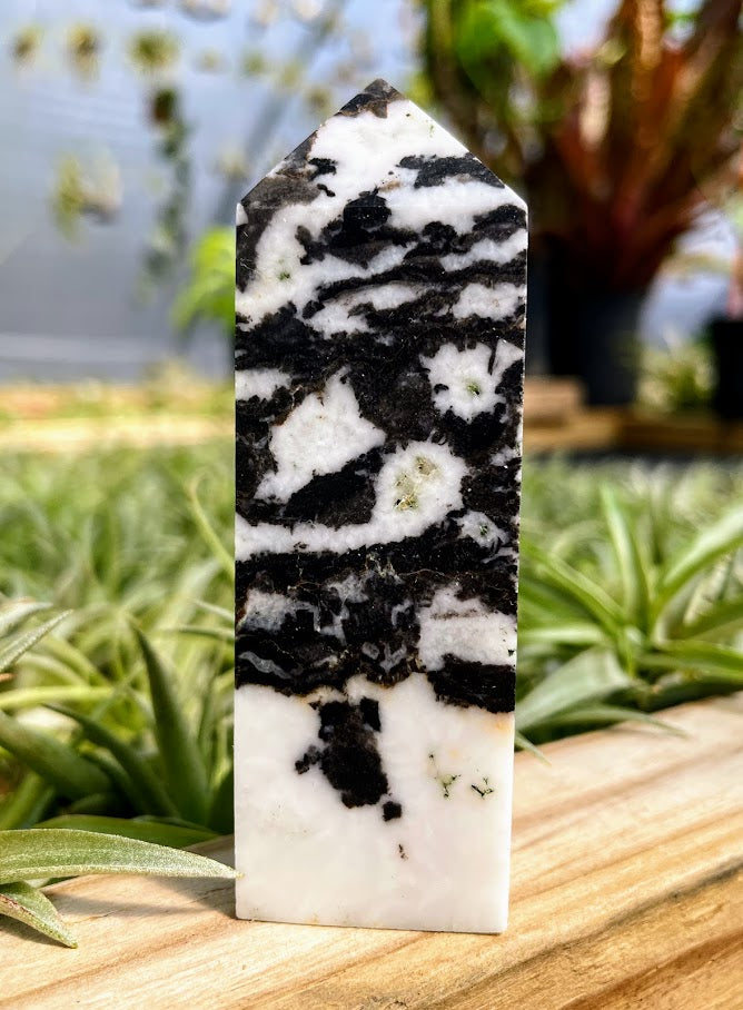 Zebra Calcite Crystal Point