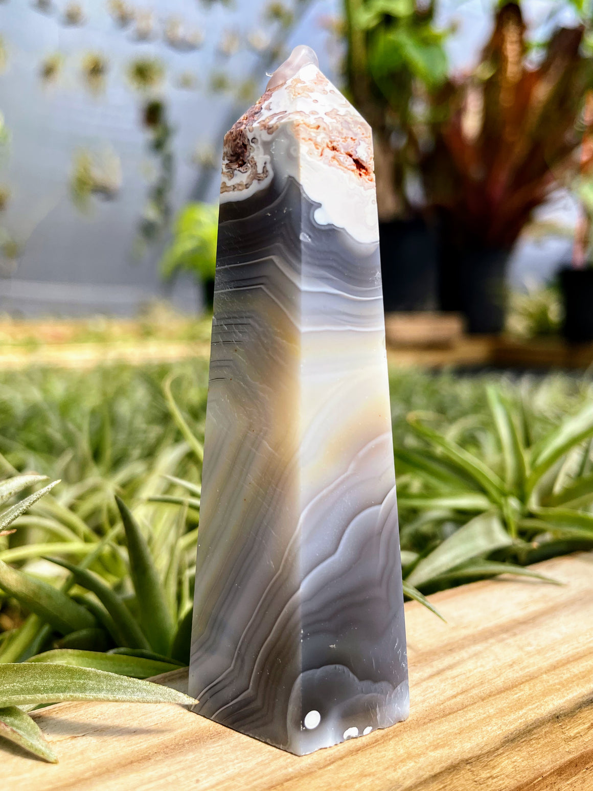 Orca Agate Crystal Point