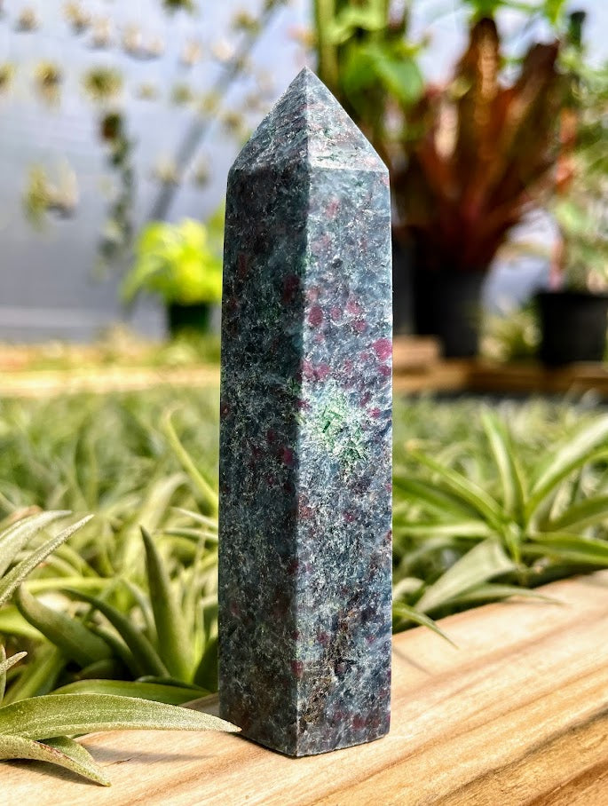 Ruby in Kyanite Crystal Point
