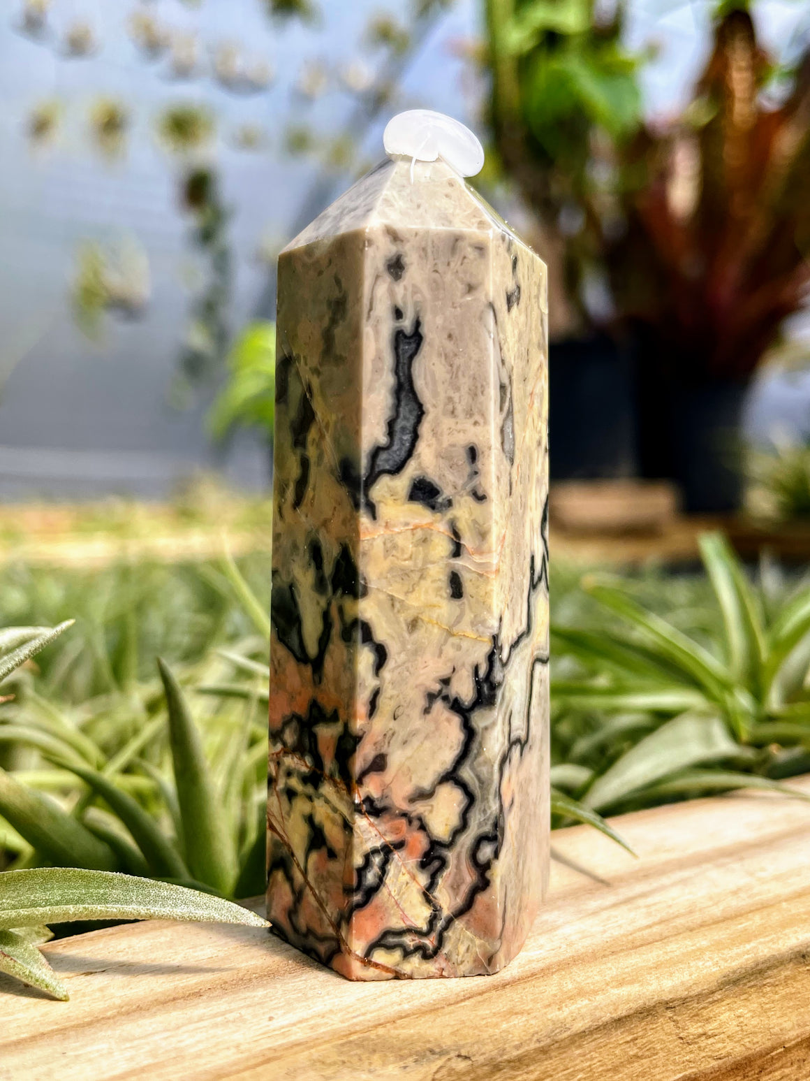 Map Jasper Crystal Point