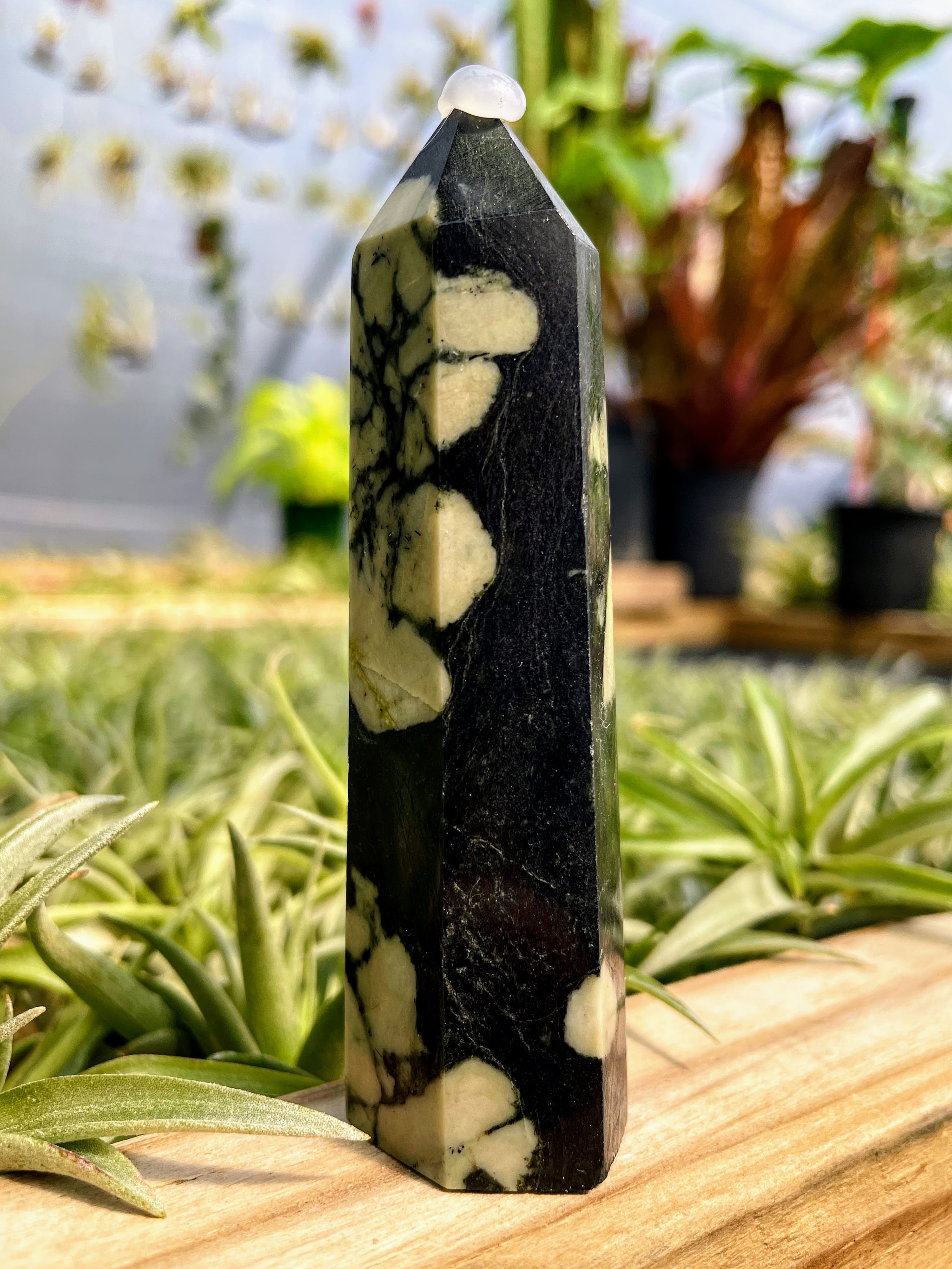 Chrysanthemum Stone Crystal Point