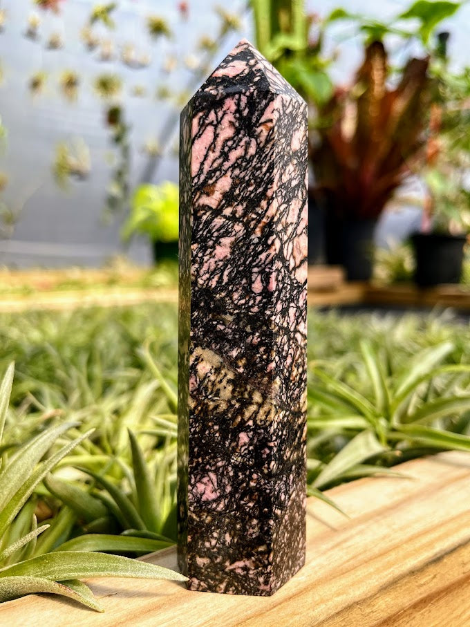 Rhodonite Crystal Point