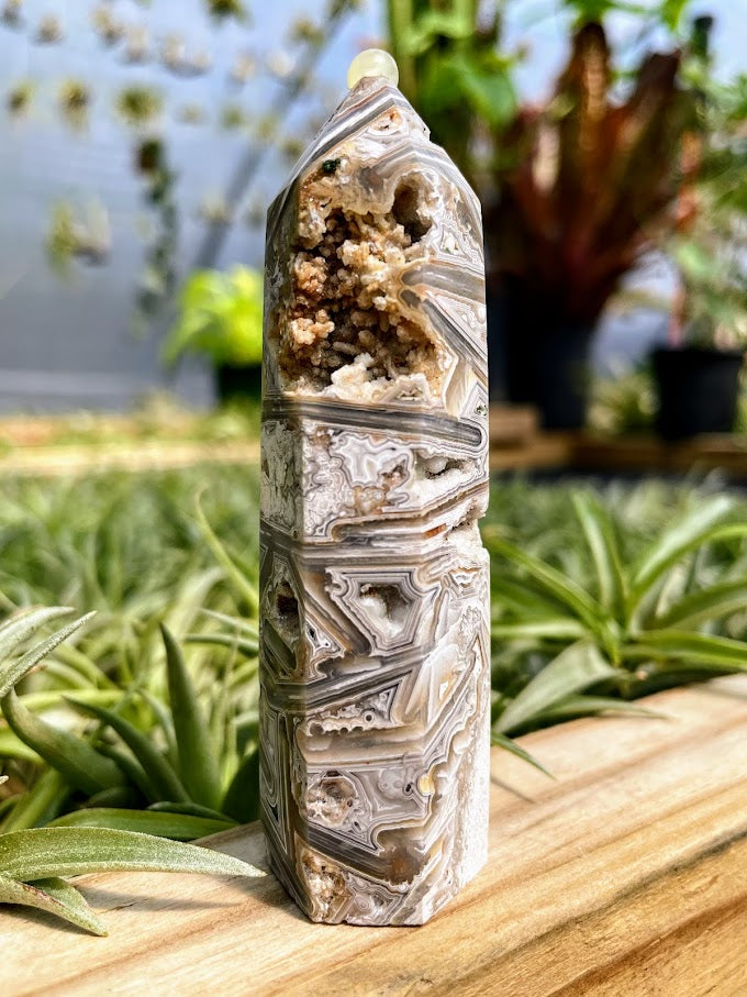 Mexican Crazy Lace Agate Crystal Point