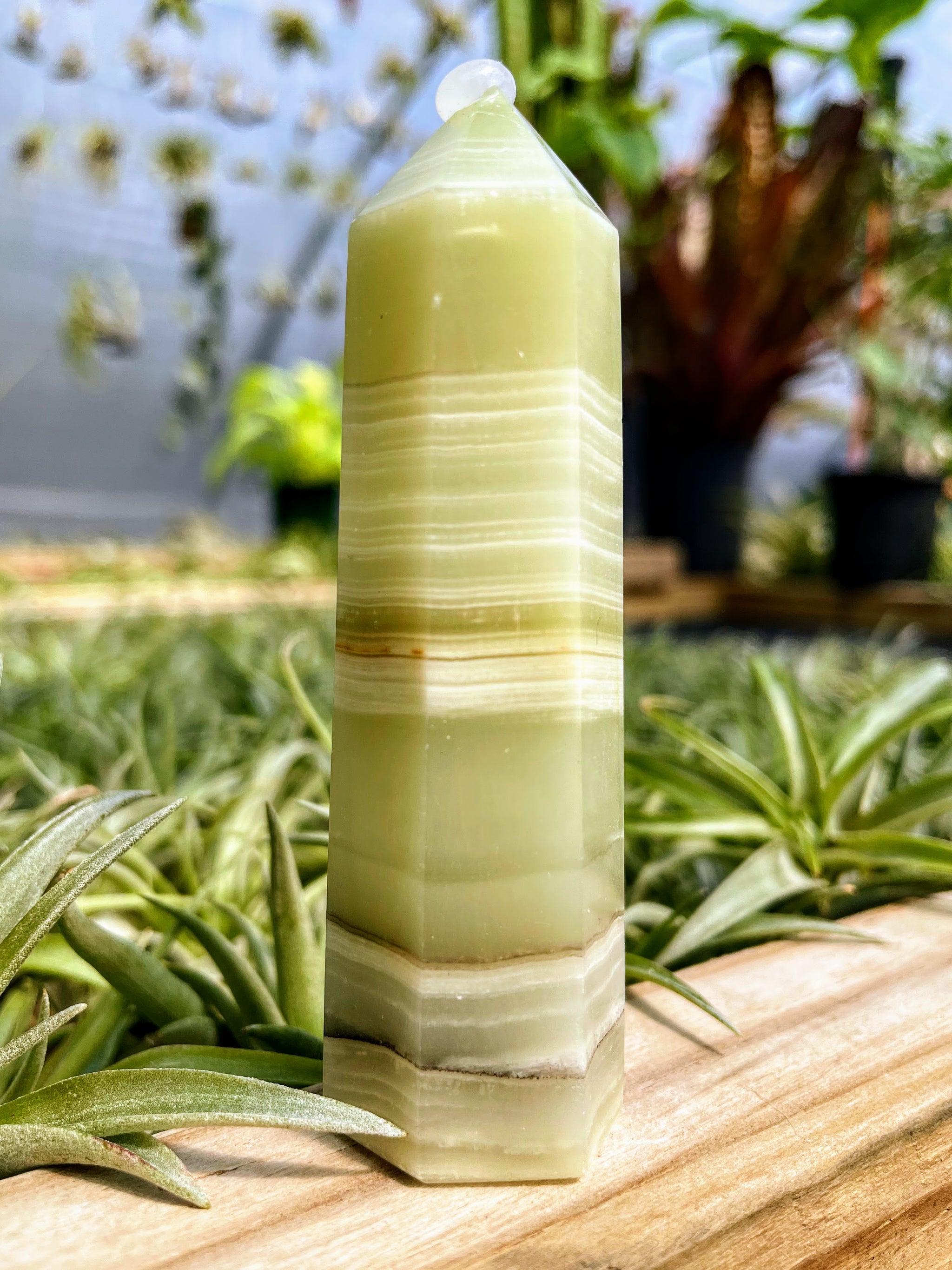 Banded Green Onyx Crystal Point