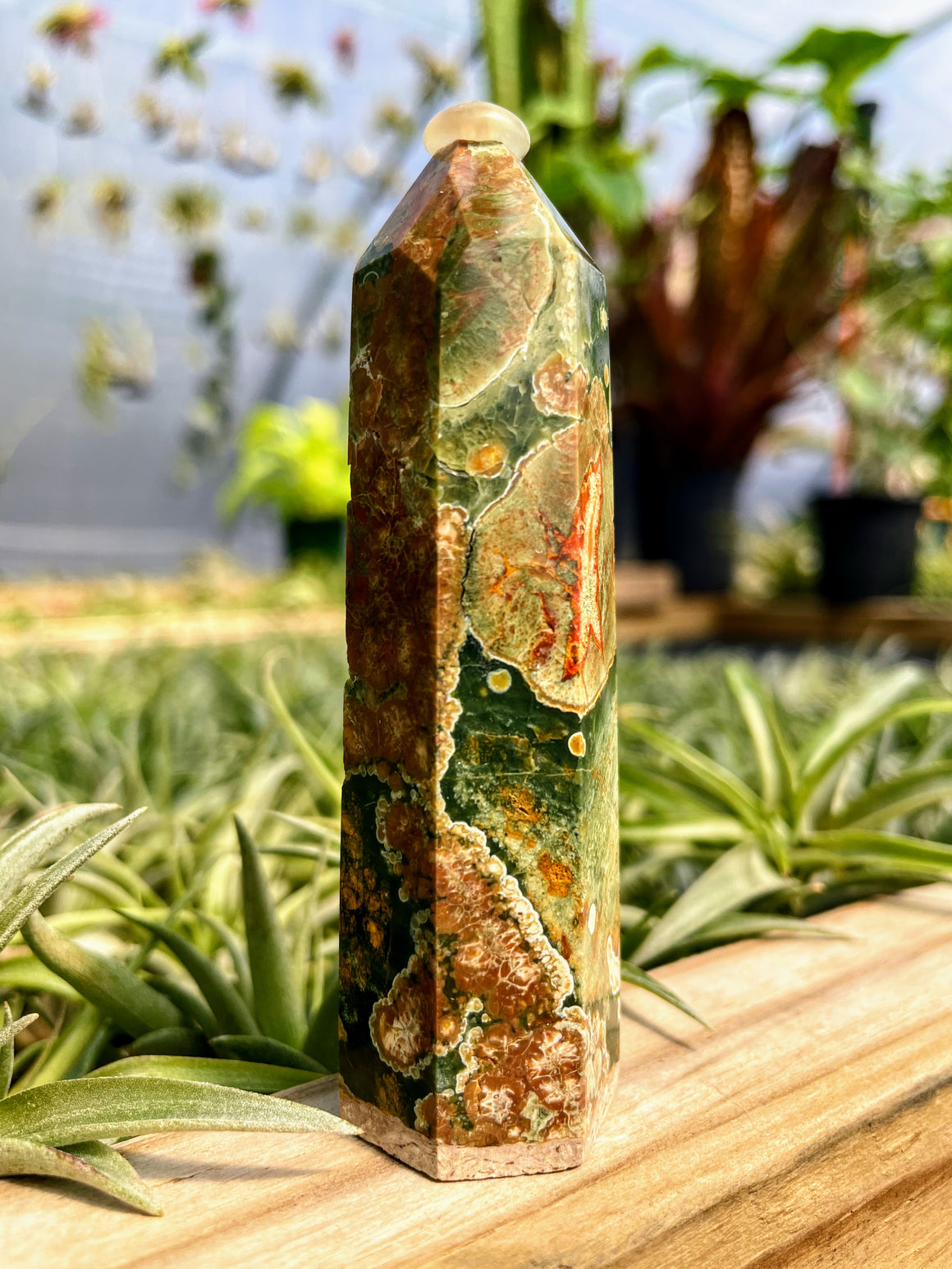 Rainforest Jasper Crystal Point