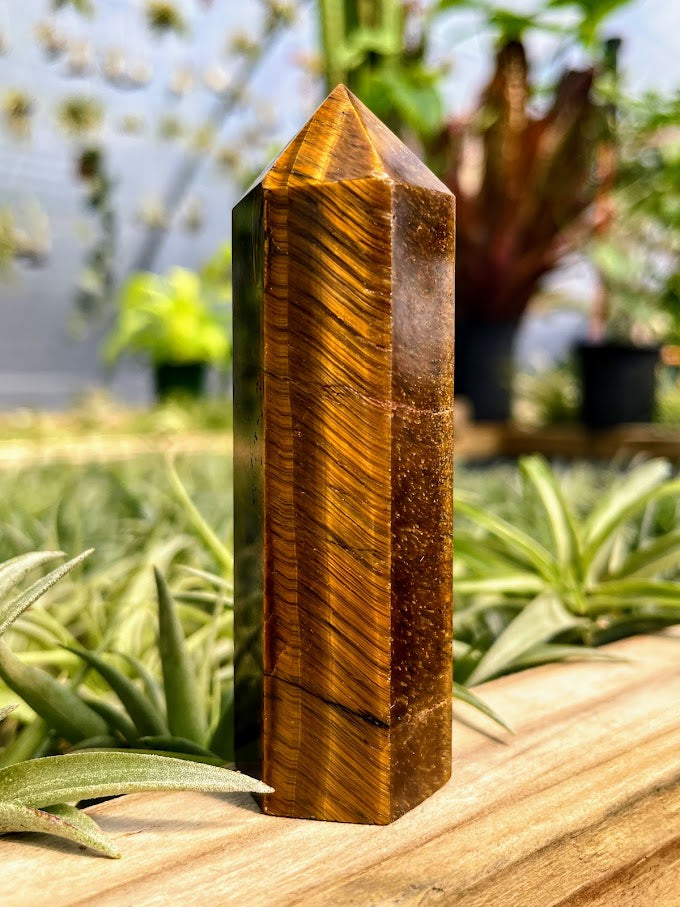 Tigers Eye Crystal Point