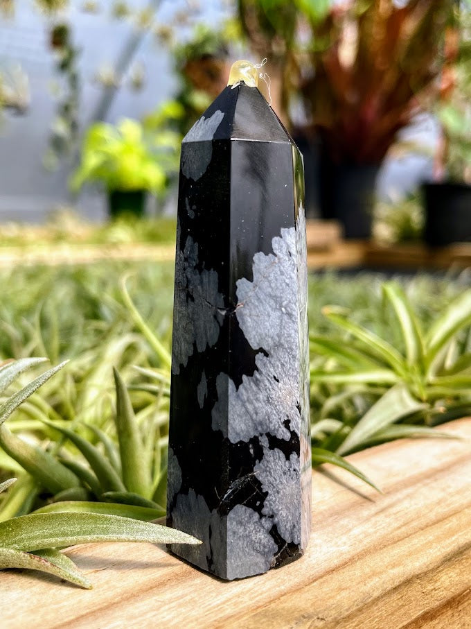 Snowflake Obsidian Crystal Point