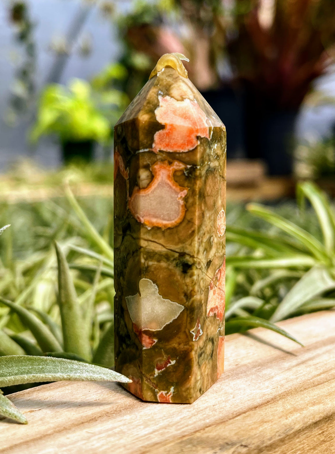 Rainforest Jasper Crystal Point