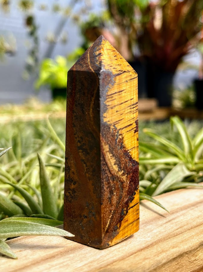 Tigers Eye Crystal Point