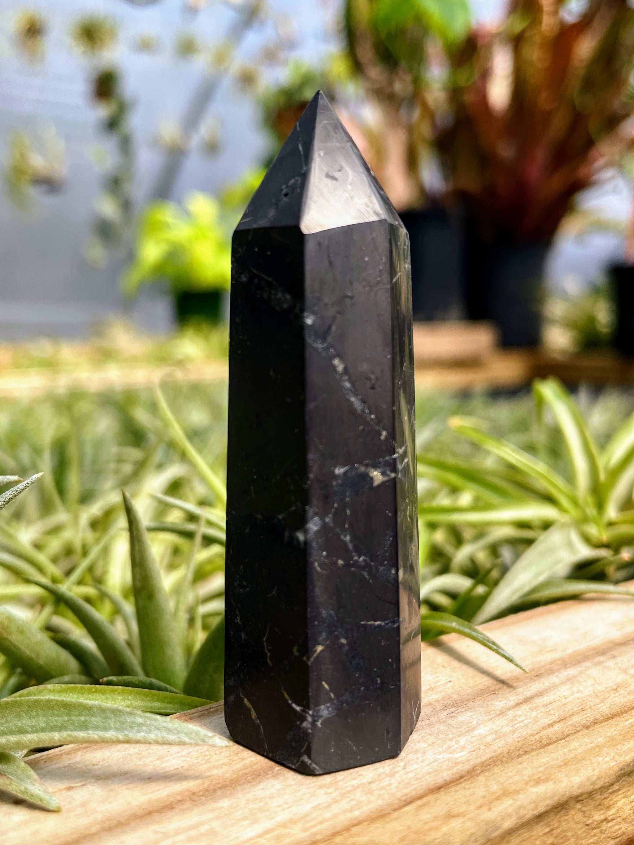 Shungite Crystal Point