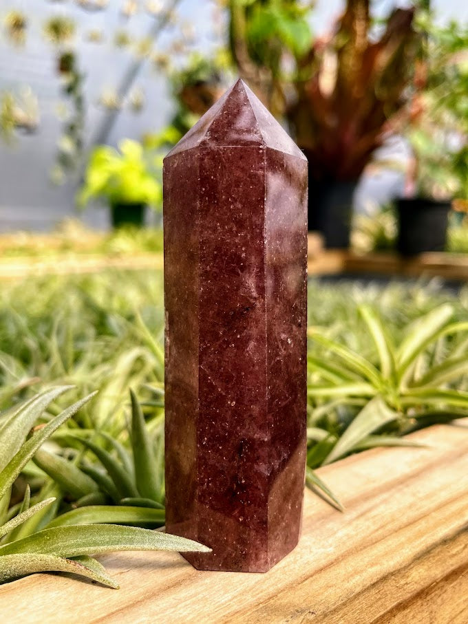 Strawberry Quartz Crystal Point