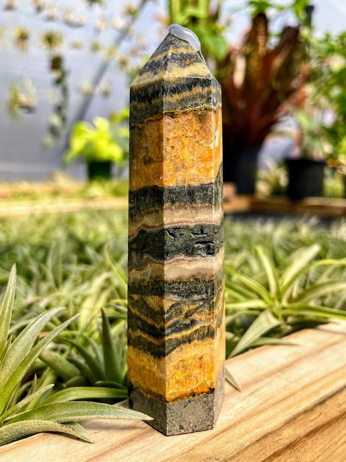 Bumblebee Jasper Crystal Point