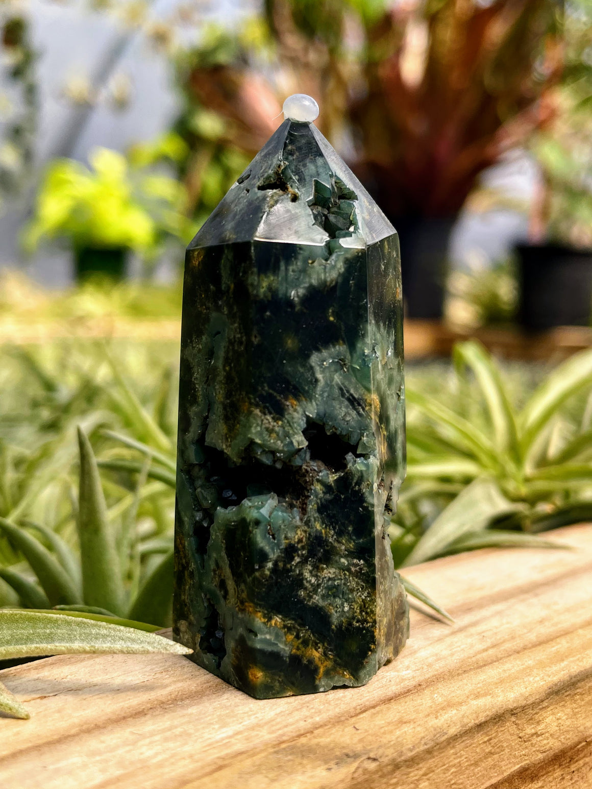 Druzy Orbicular Ocean Jasper Crystal Point