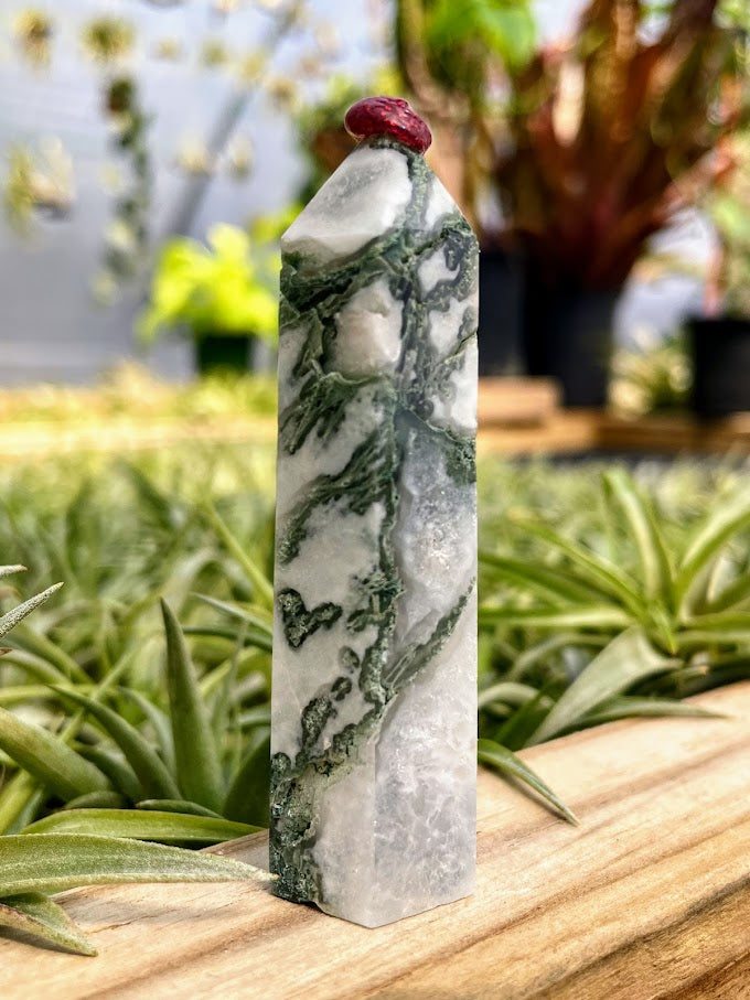 Tree Agate Crystal Point