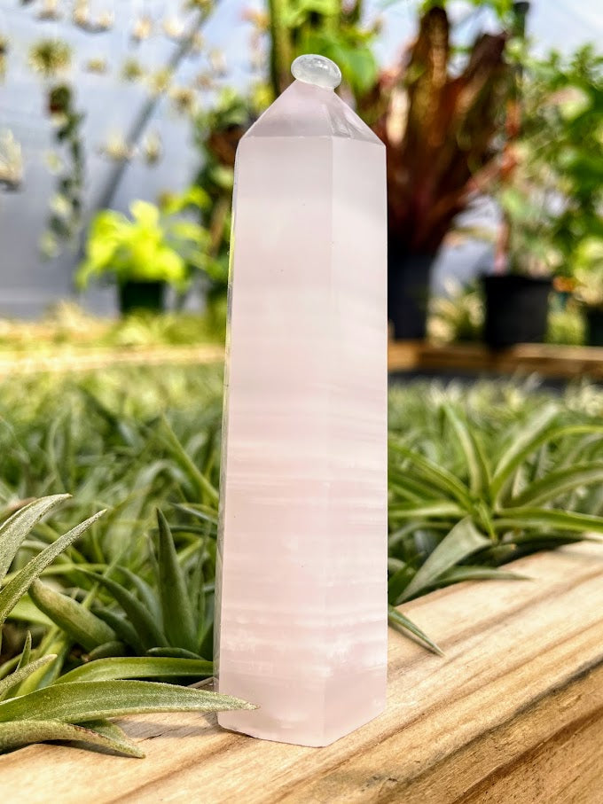 Rose Quartz Crystal Point