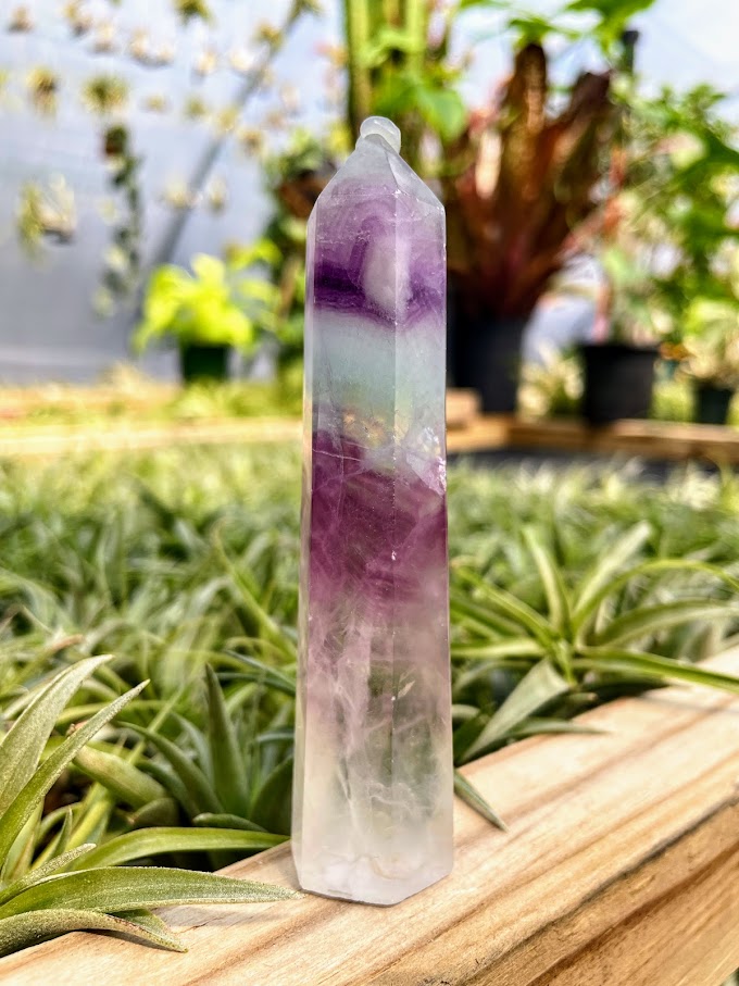 Fluorite Crystal Point