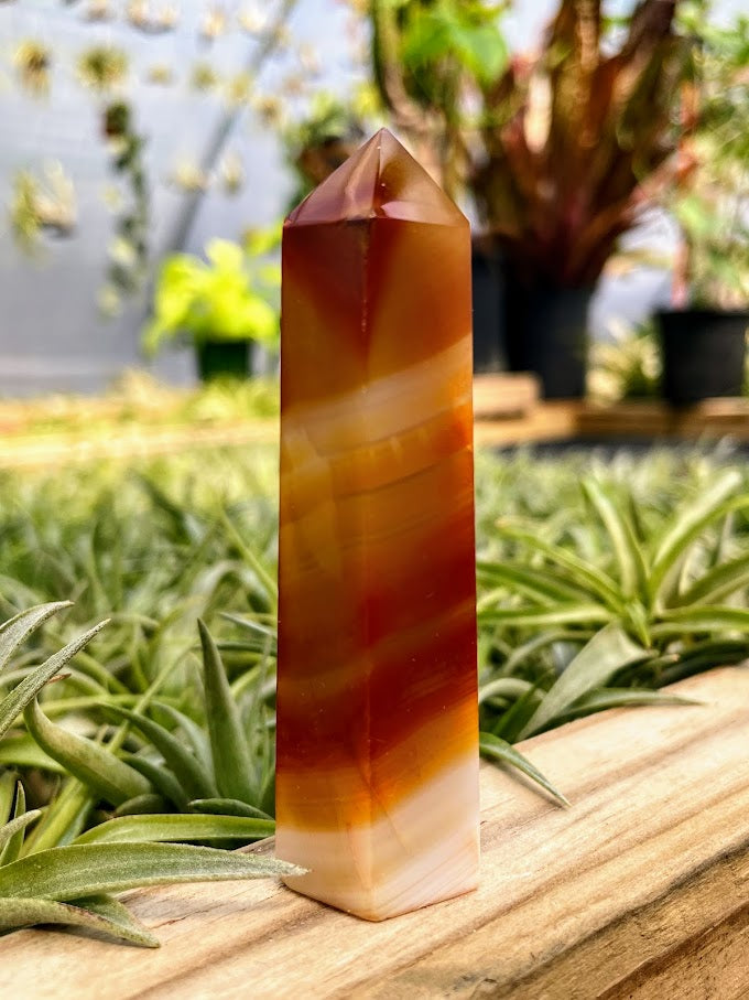 Carnelian Crystal Point