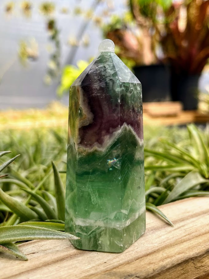 Green Fluorite Crystal Point