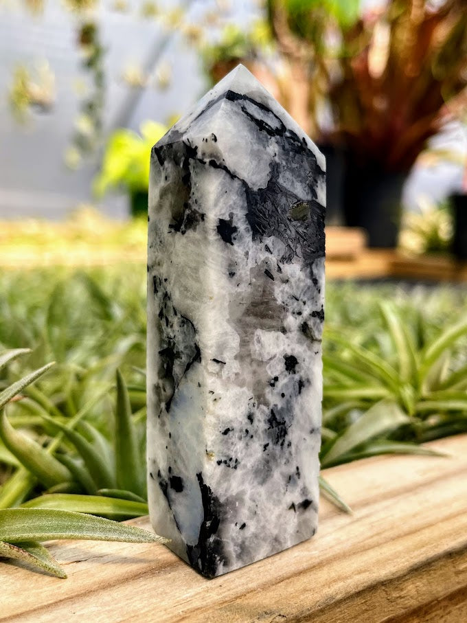 Rainbow Moonstone Crystal Point