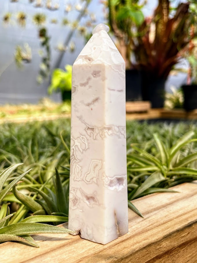 Crazy Lace Agate Crystal Point