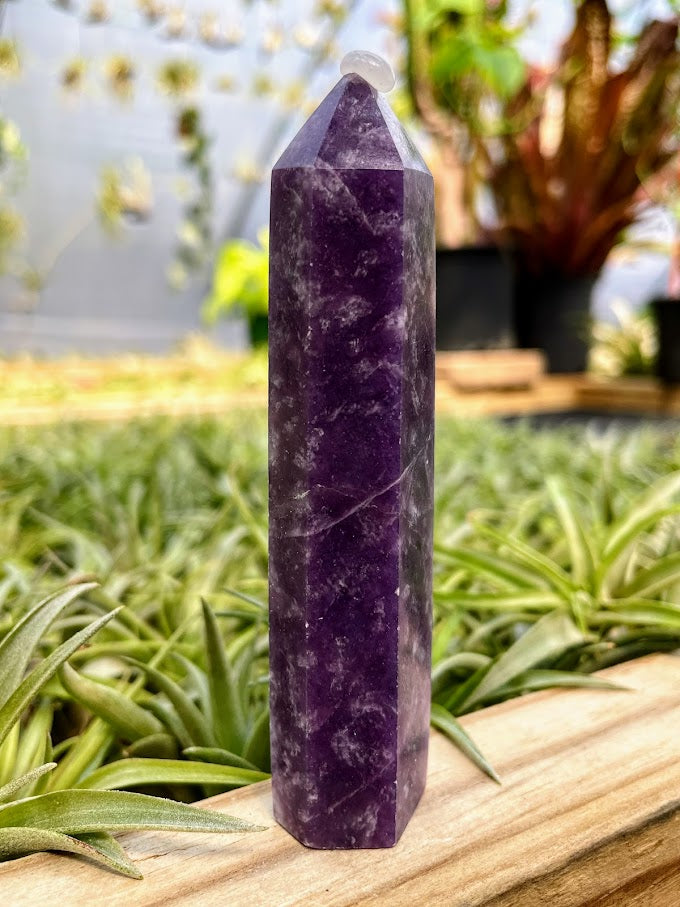 Lepidolite Crystal Point