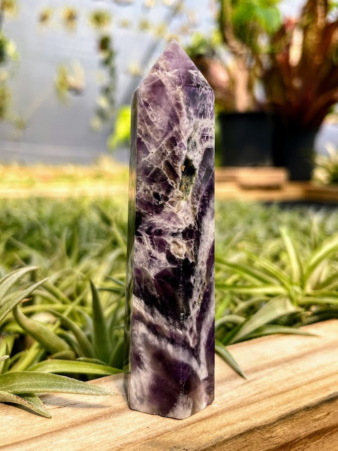 Dream Amethyst Crystal Point