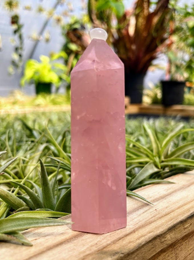 Rose Quartz Crystal Point