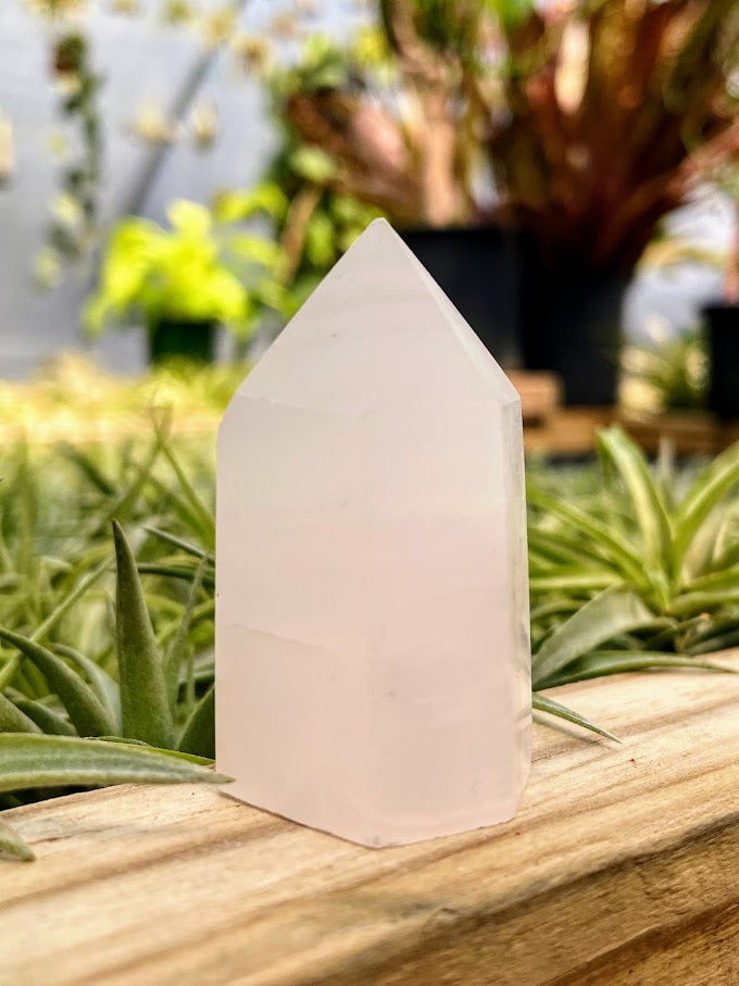 Rose Quartz Crystal Point