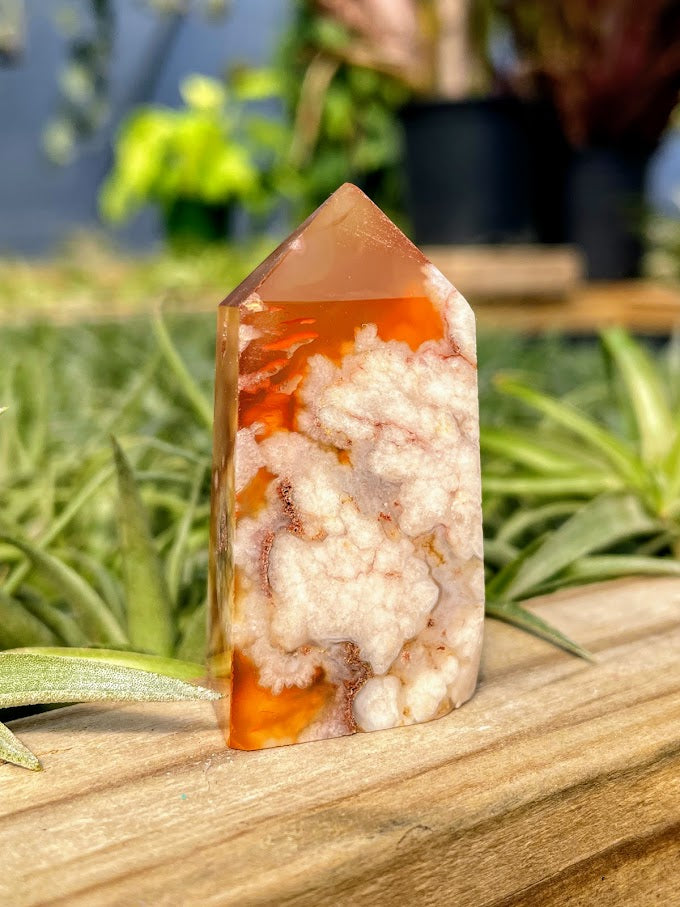 Red Flower Agate Crystal Point