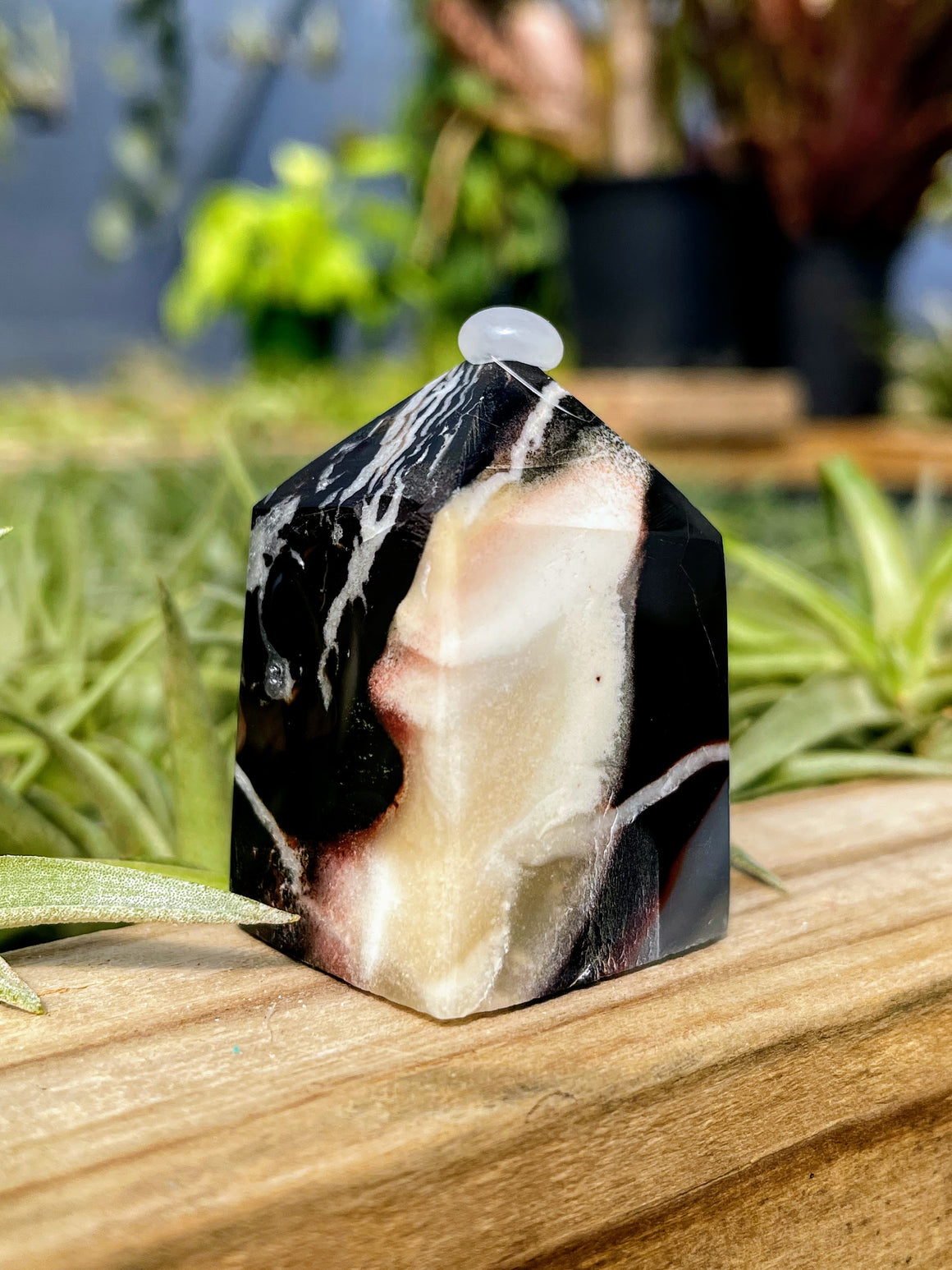 Druzy Black Agate Crystal Point