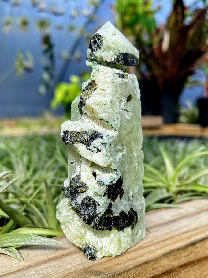 Druzy Prehnite Crystal Point